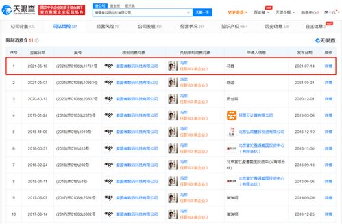 愛國者公司被限制高消費，計算機軟硬件業務面臨挑戰